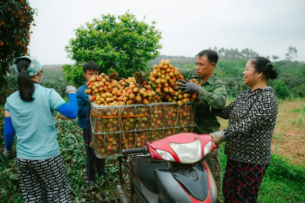 家用塑料垃圾桶模具工艺优化与耐用性提升要点