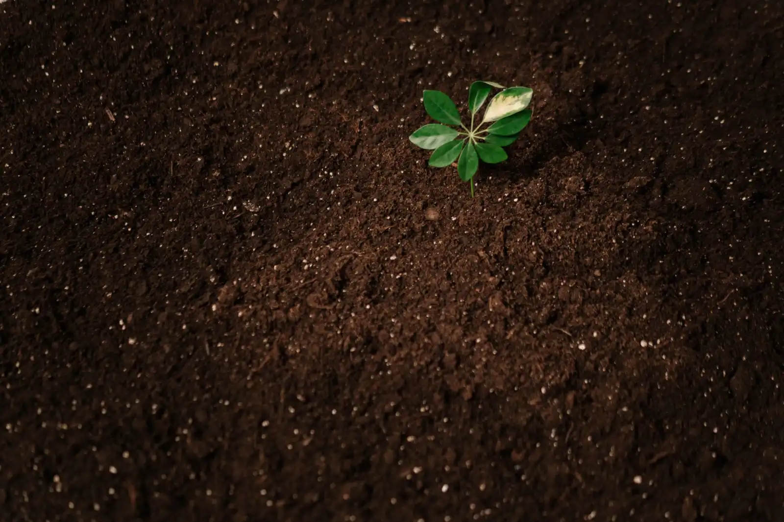 商用垃圾桶选型对比:塑料材质在商超场景中的性能与成本优势