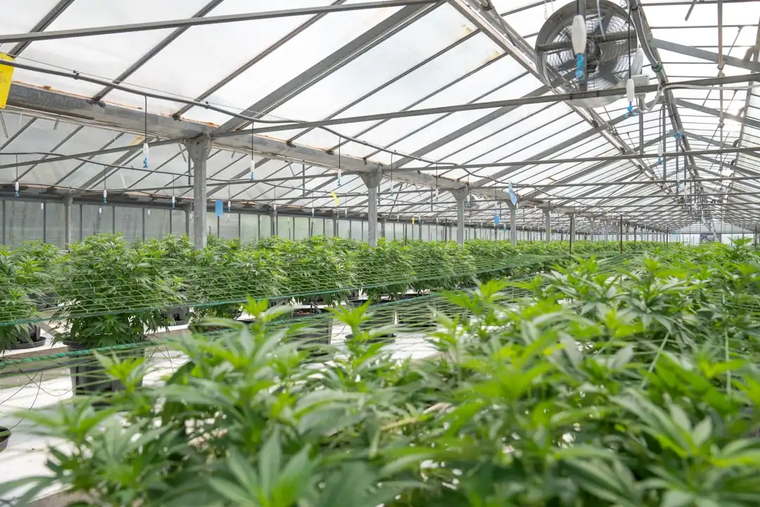 塑料收纳箱与垃圾桶选型指南：商超家居日用品的实用配置方案